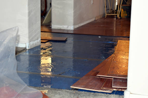 Professional Basement Flood Cleanup technician working in Hastings, MI